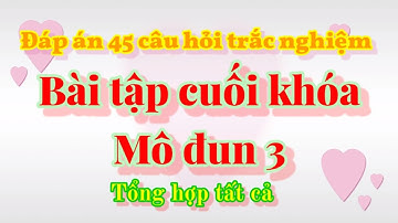 Đáp án 45 câu hỏi trắc nghiệm Bài tập cuối khóa Mô đun 3😀😀😀