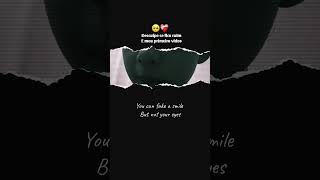 𝕡𝕒𝕣𝕒𝕓𝕖𝕟𝕤 𝕒𝕔𝕙𝕠 𝕦𝕞 𝕧𝕚𝕕𝕖𝕠 𝕗𝕝𝕠𝕡𝕒𝕕𝕠