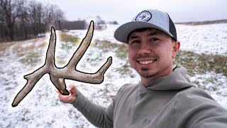 Finding My Target Buck's Sheds