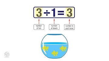 Division Rules for 1 and 0. Grade 3