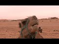 king of sahara desert- The Camel King: A Desert Adventure