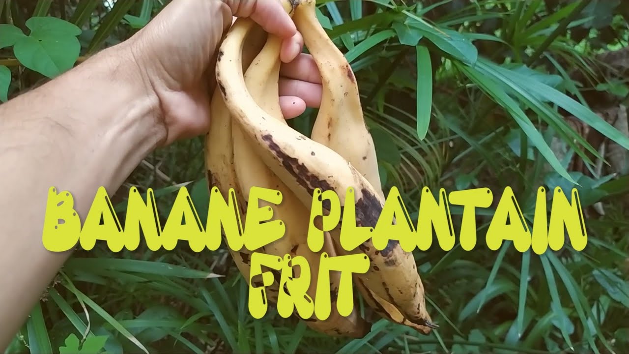 Banane plantain frit YouTube