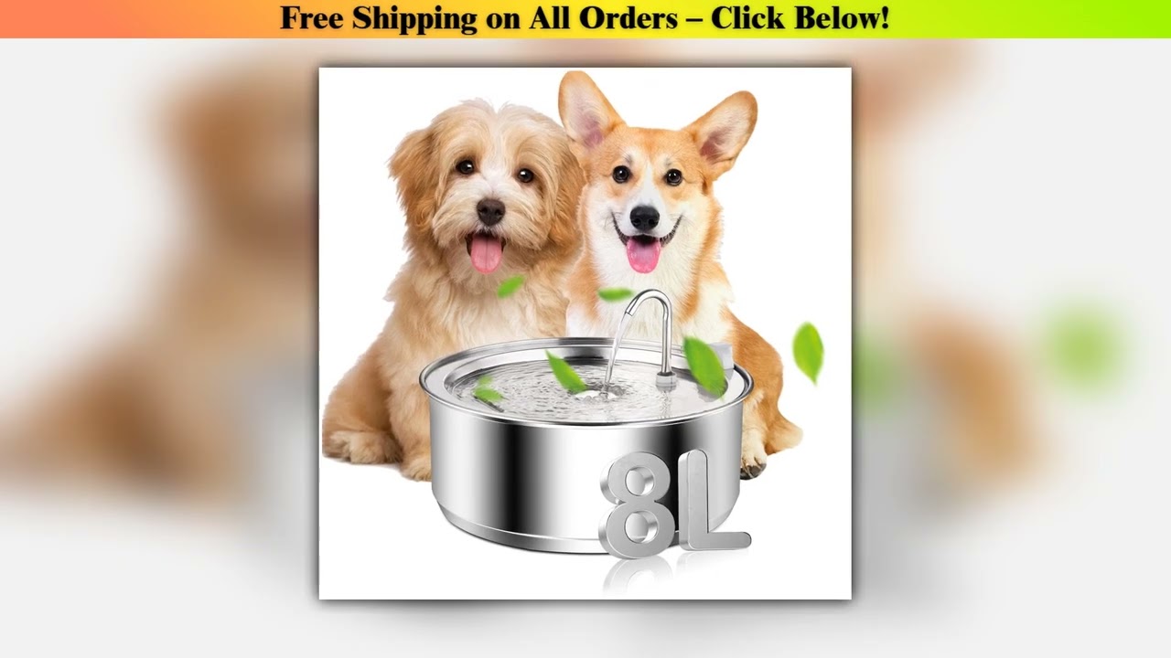 8L Large capacity stainless steel water dispenser with Sensor for dogs cats,Dog water fountain,Dog