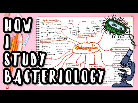 How I Study Bacteriology - Different Learning Techniques + Resources - Study With Me in Quarantine