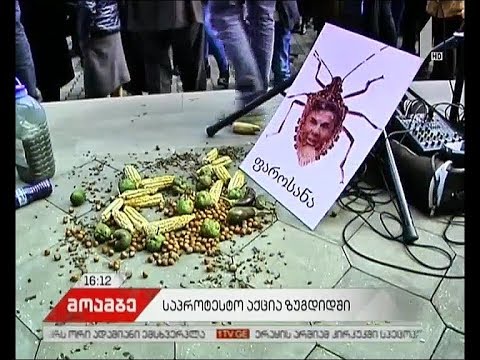 „ნაციონალური მოძრაობის“ აქცია სამეგრელო ზემო-სვანეთის სამხარეო ადმინისტრაციის შენობასთან