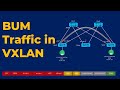 Bum traffic handling in vxlan  vxlan concept6  vxlan with bgp evpn