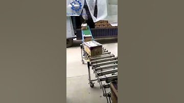 Automatic trailer/truck/fruits loading conveyor/flexible roller conveyor/container loading/unloading