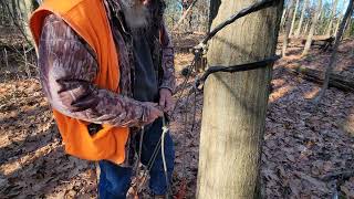 Two tether post hunt descent #diy #deerhunting #saddlehunting #predatorhunting