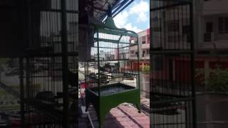 Download Lagu Ciblek Kebun Budi Figo Samarinda 2 MP3