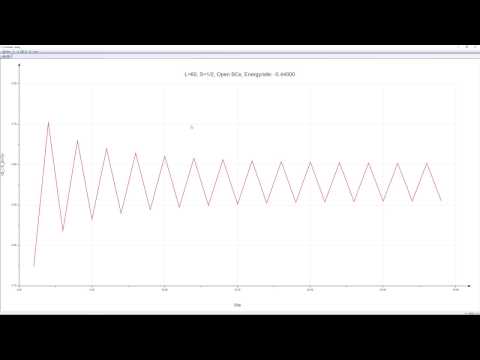 Density Matrix Renormalization Group