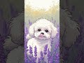 #dog #dogs #doglife #doglove #dogvideos #dogshorts #dogsofinstagram #doglover #dogoftheday #cutedogs