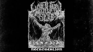 Mortuary Slab - Necrorealism [EP] 2024
