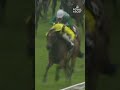 FRANKIE DETTORI: Countdown 2️⃣ #RoyalAscot with BINT ALLAYL 🐴 | #Shorts