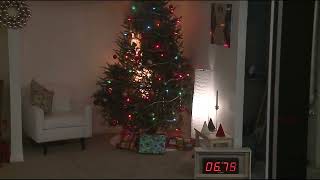 A dry Christmas tree can become consumed by flames in seconds!