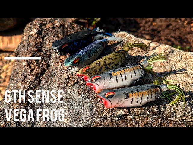 My Review on the 6th Sense Vega Frog!