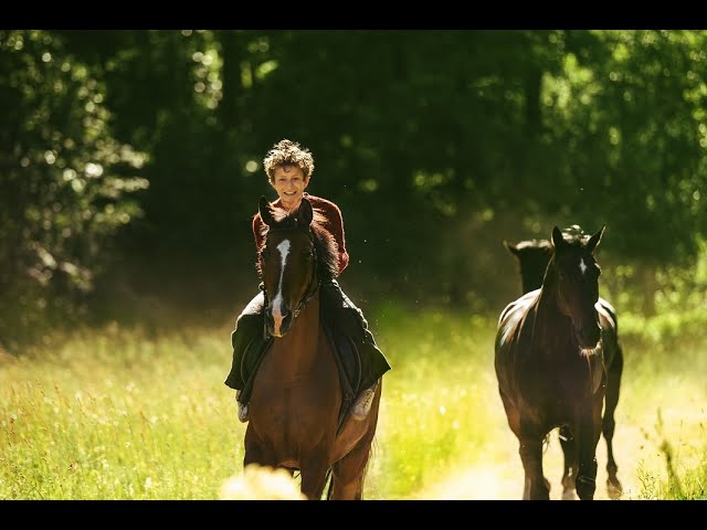 Jít krást koně HD trailer CZ