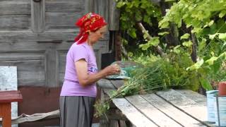Дивное (Мирзакой) 11 выпуск