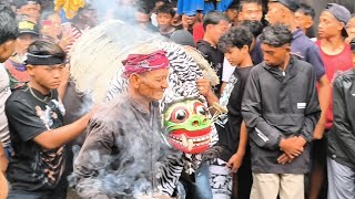 Download Lagu MACAN MACANAN #JARANAN GAGAK LODRA LIVE LICIN WETAN MP3