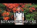 Рододендроны. Ботанический сад. РИГА.