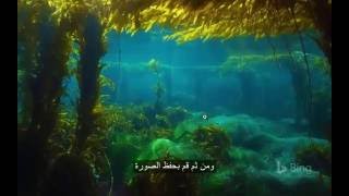 كيفية تحميل صور الخلفية لموقع bing الشهير screenshot 5