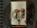 Watercolor Sketch Bighorn Sheep