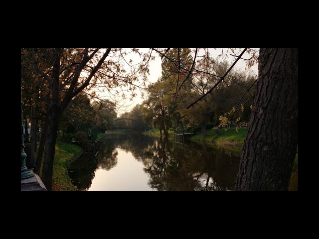 i got you on tape - somersault
