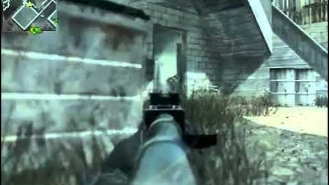 COD4 Team Virus Frag Movie