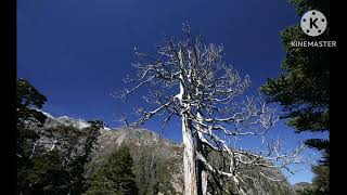 Windows 7 Syue Mountain Sounds Effects