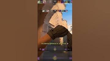 Accidental Brilliance or Just Luck 🎯 #cs2 #csgo #cs2clips