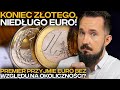 EURO w POLSCE? WADY i ZALETY Strefy Euro #BizON