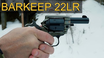 Cover Image for Heritage Barkeep 22LR Review