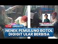 Nenek Pemulung Botol di Bekasi Digigit Ular Berbisa di Kontrakan, Muntah-muntah & Alami Pembengkakan