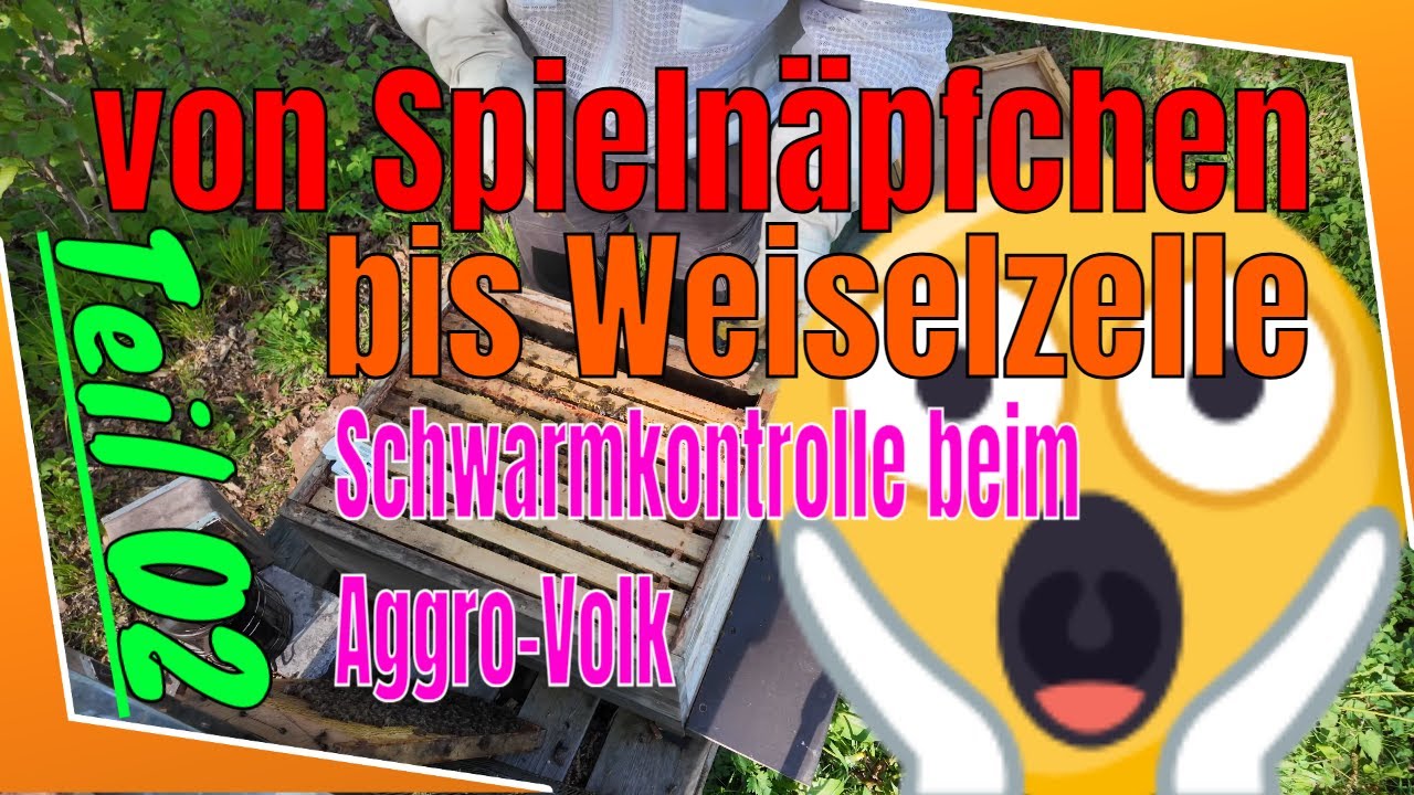 über Spielnäpfchen bis Schwarmzelle | Schwarmkontrolle beim Aggro-Volk | Teil 02 v. 03