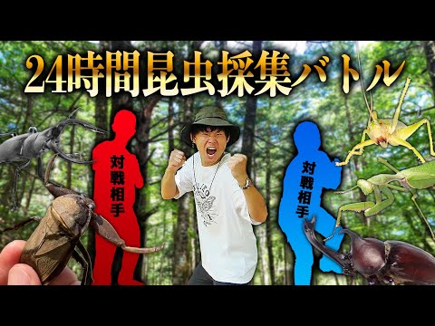 2nd Round] Collect insects for 24 hours and whoever finds