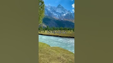 واتس اب قران كريم القارئ شريف مصطفى من سورة (مريم)
