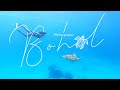 Bohol Travel vlog (Diving with turtles)