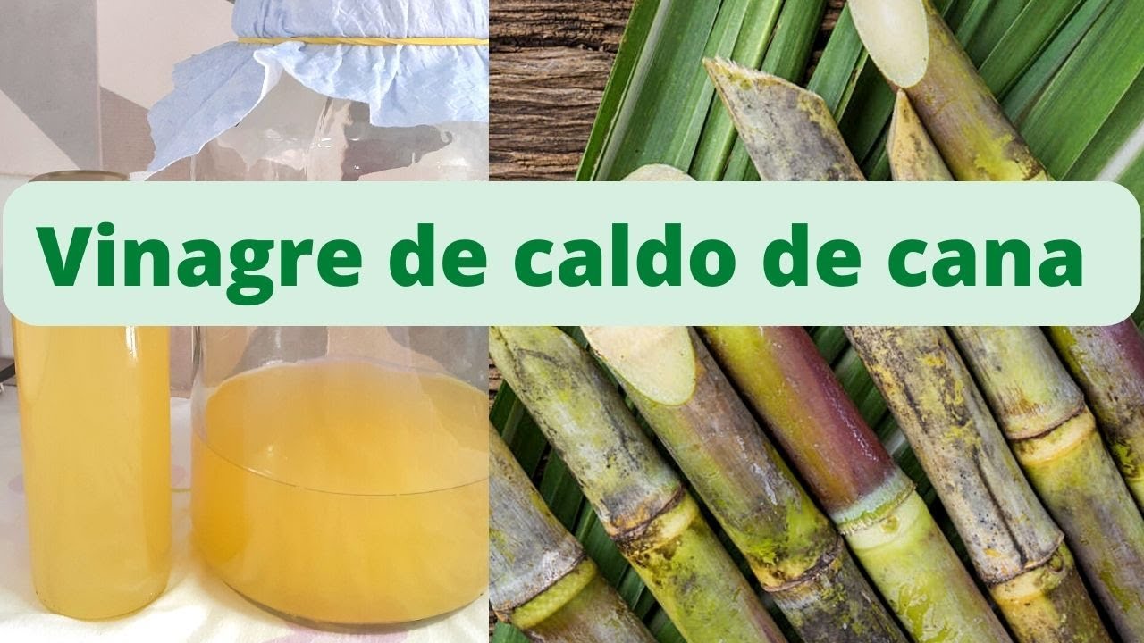 VINAGRE DE CALDO DE CANA com fermentação natural