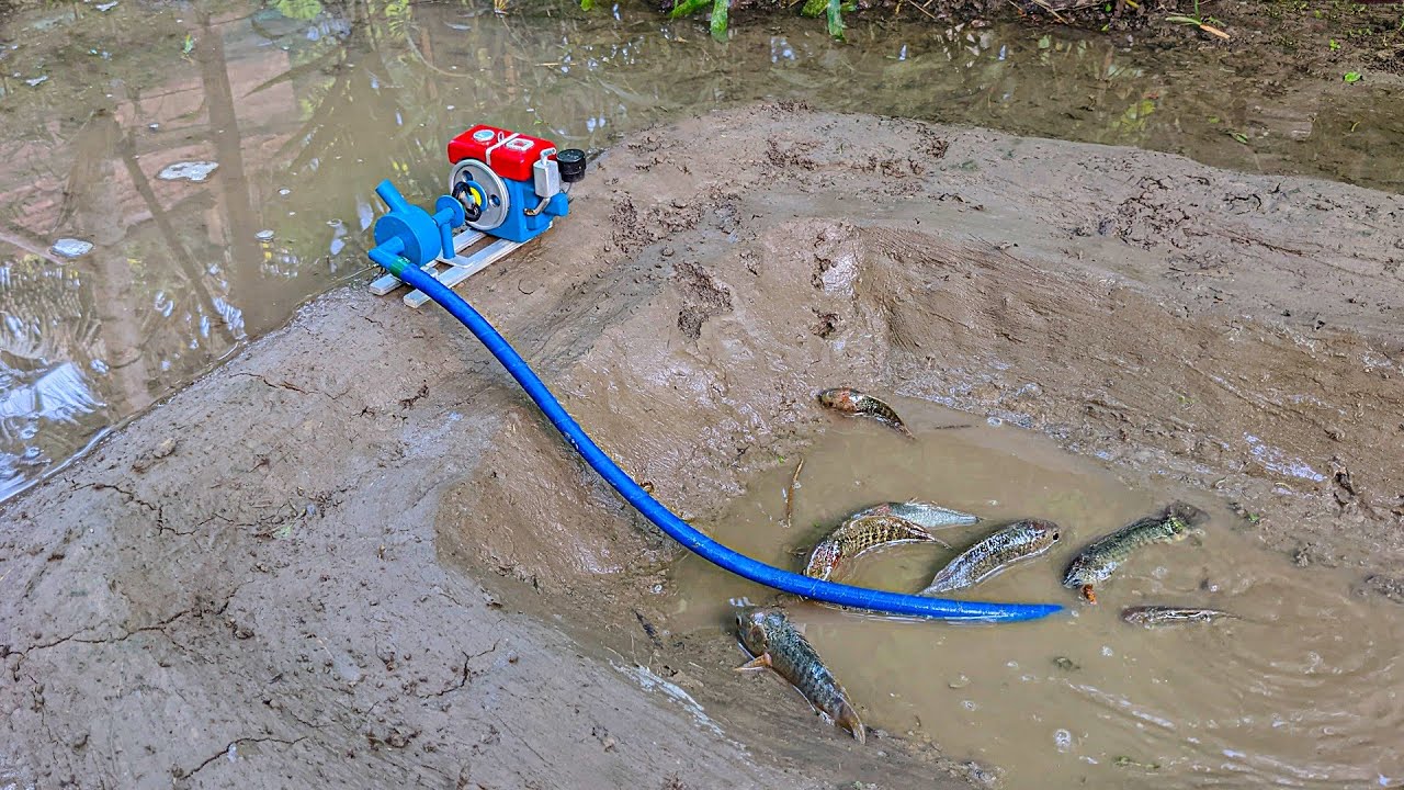 How To Catch Fish Using Mini Water Pump - Fishing Exciting Science Project
