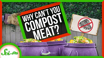 Can I put meat in my compost?