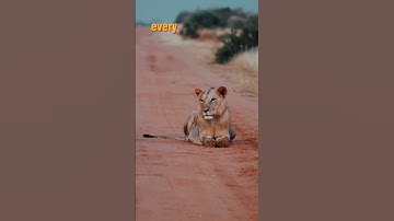 Embracing Resilience: Rising Stronger in Life