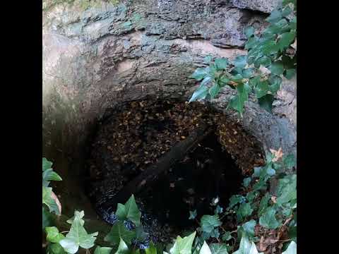 Circular de Castellbò,