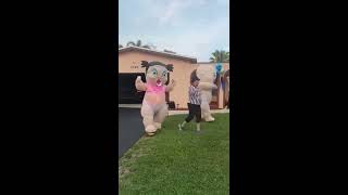 Baby Fight Gender Reveal