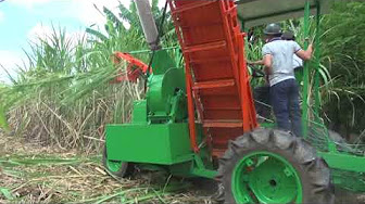 未來未來日本台灣一定要恢復種甘蔗 完全恢復做蔗糖農業糖業大改革計畫 暫定 将来 台湾と日本はサトウキビ栽培を再開し サトウキビ農業の砂糖産業改革計画を完全に再開しなければなりません Youtube 未來未來日本台灣一定要恢復種甘蔗 完全恢復做蔗糖農業糖業大改革計畫 暫定 将来 台湾と日本はサトウキビ栽培を再開し サトウキビ農業の砂糖産業改革計画を完全に再開しなければなりません Youtube