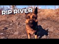 The Real-Life Dog That Inspired Fallout 4&#39;s Dogmeat, Has Passed Away