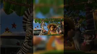 Madagaskar - Za Aleksa Pl