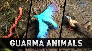 Red Dead Redemption 2 - All Guarma Animals (Missable)