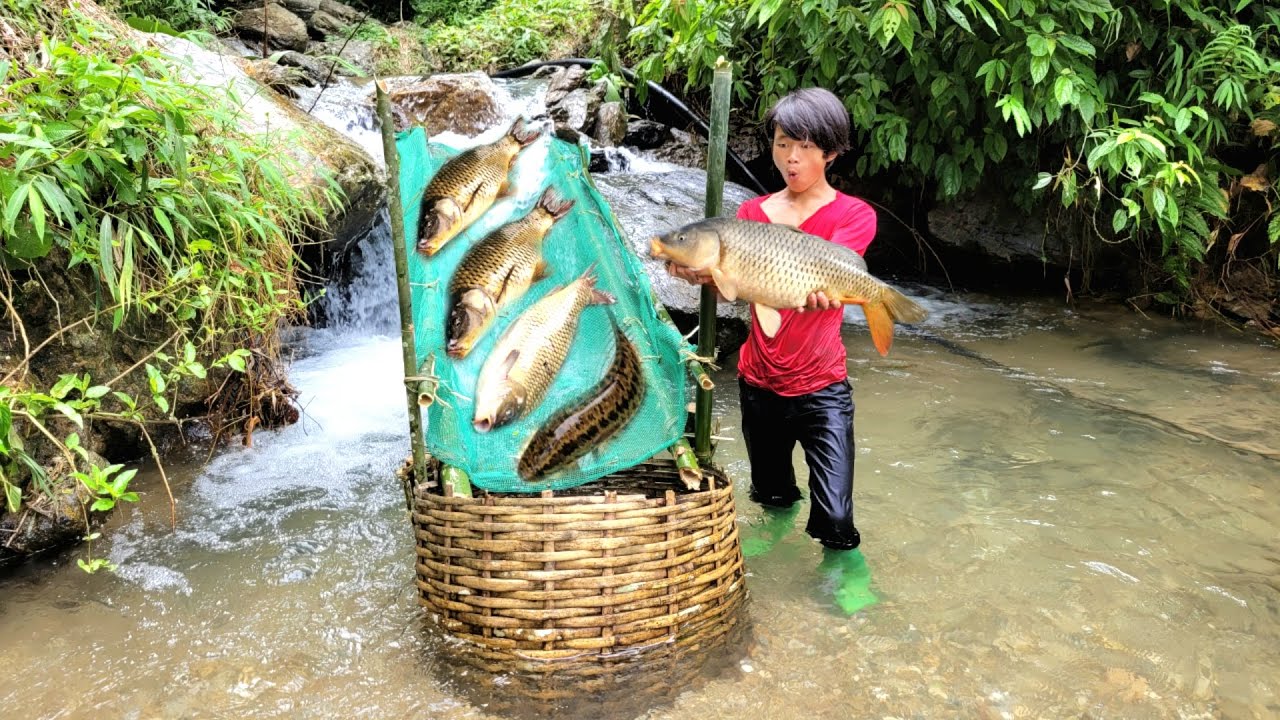 Lam used a net to make a fish trap in the stream and luckily caught ...