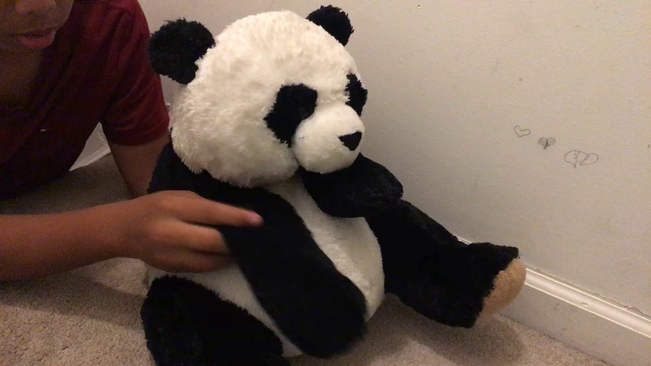 Introducing My new puppet Parker YouTube