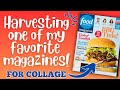 Magazine Harvest Sesh!!! | Colorful images