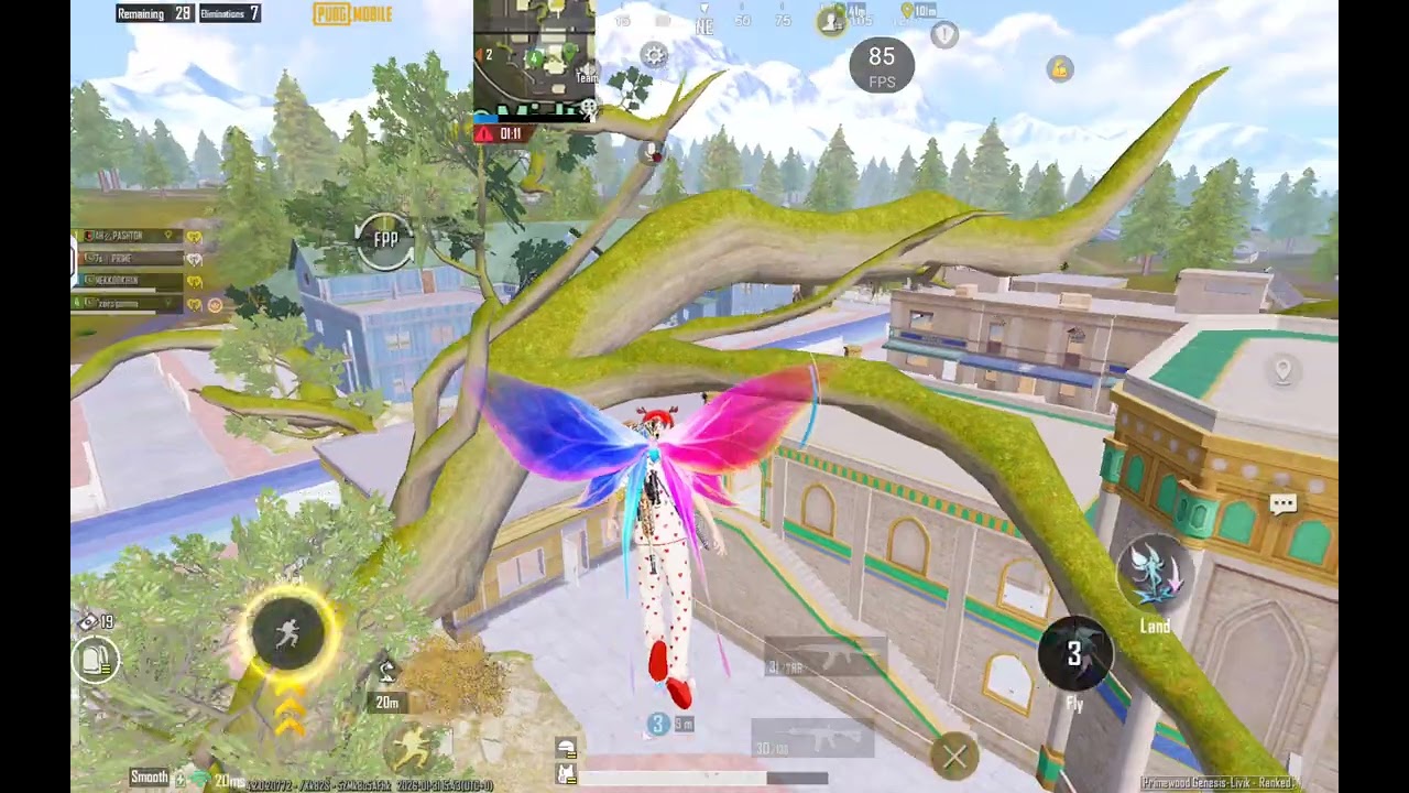 Full Rush=Chicken Dinner 